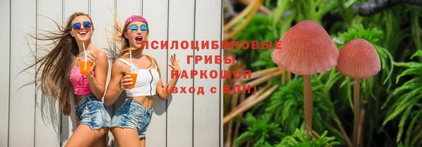 прущие крисы Балабаново