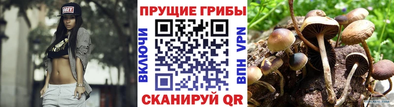 Галлюциногенные грибы мицелий Новый Оскол